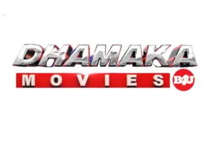 B4U DHAMAKA MOVIE